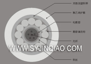标准中心束管式钢丝铠装光缆GYXTS