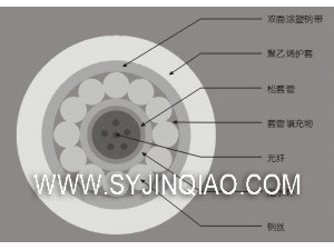 标准中心束管式钢丝铠装光缆GYXTS