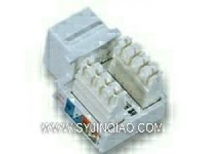 超五类信息模块