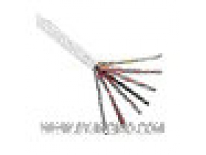 超五类屏蔽双绞线（说明）